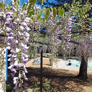 La Margottière Chez Isa Et Titi Rians (Var)